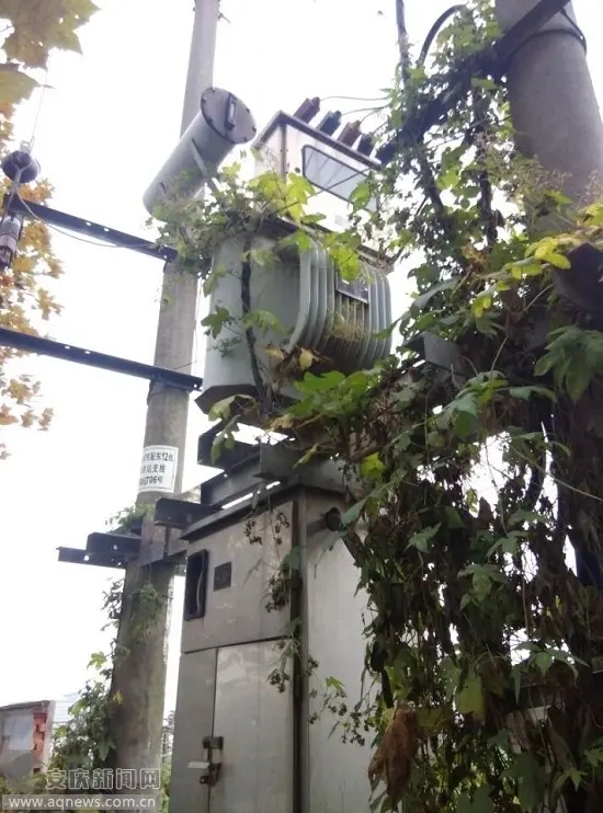 油浸式變壓器周圍都是藤蔓 油浸式變壓器周圍全是藤蔓.webp.jpg